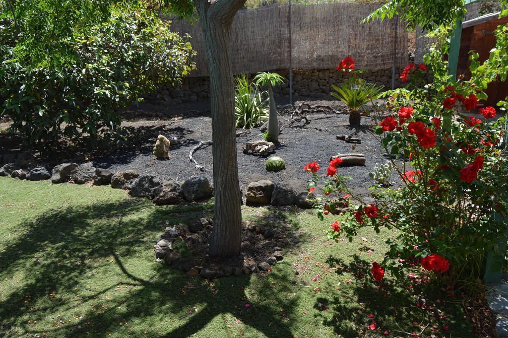 La Alpispa San Francisco de Paula المظهر الخارجي الصورة