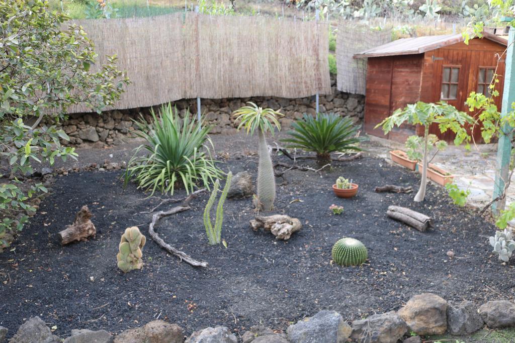 La Alpispa San Francisco de Paula المظهر الخارجي الصورة